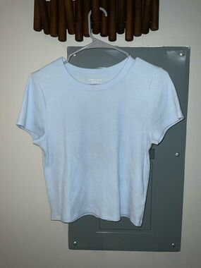 American Eagle Pale Blue Waffle Knit Crewneck Top